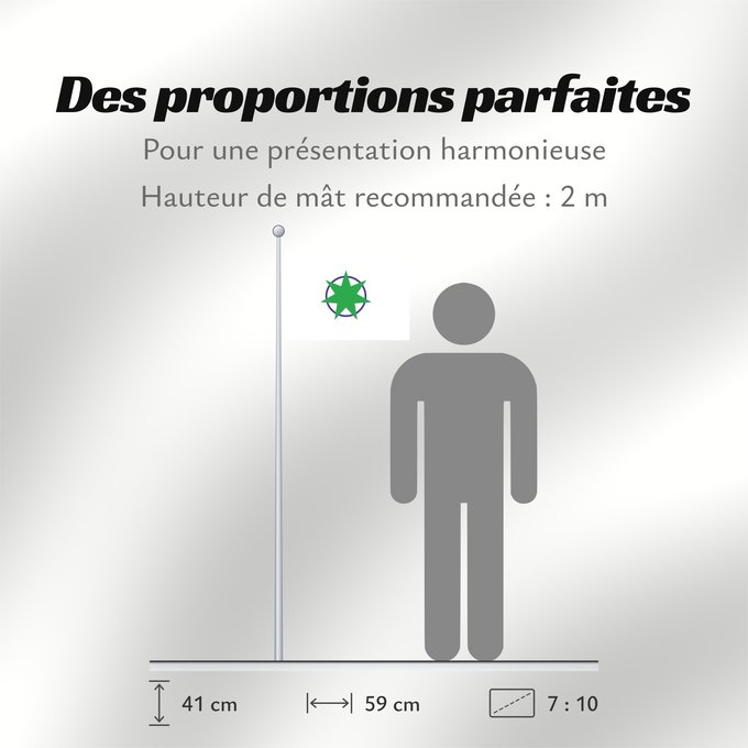Proportions du drapeau : Aomori
