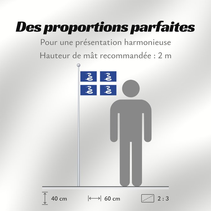 Proportions du drapeau : Martinique	Martinica