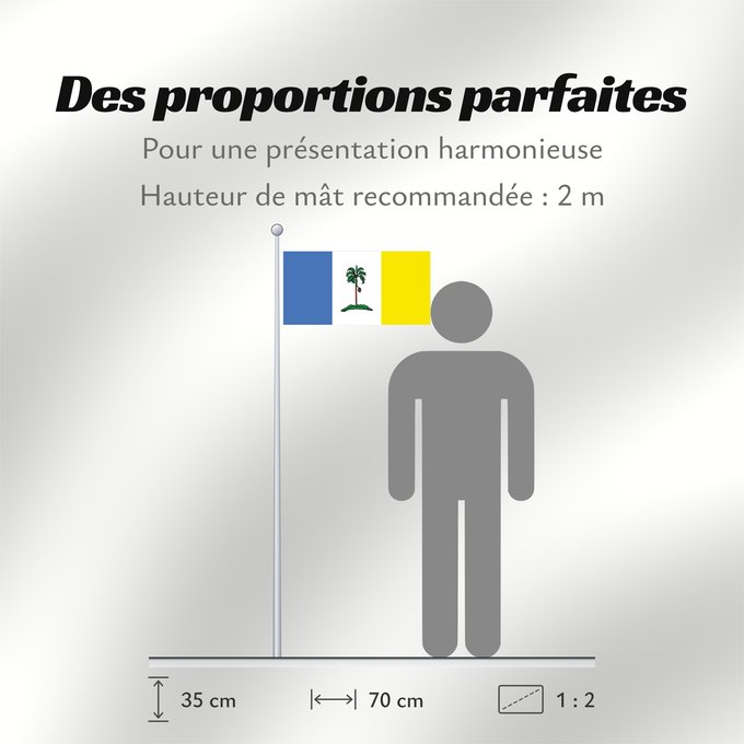 Proportions du drapeau : Pulau Pinang