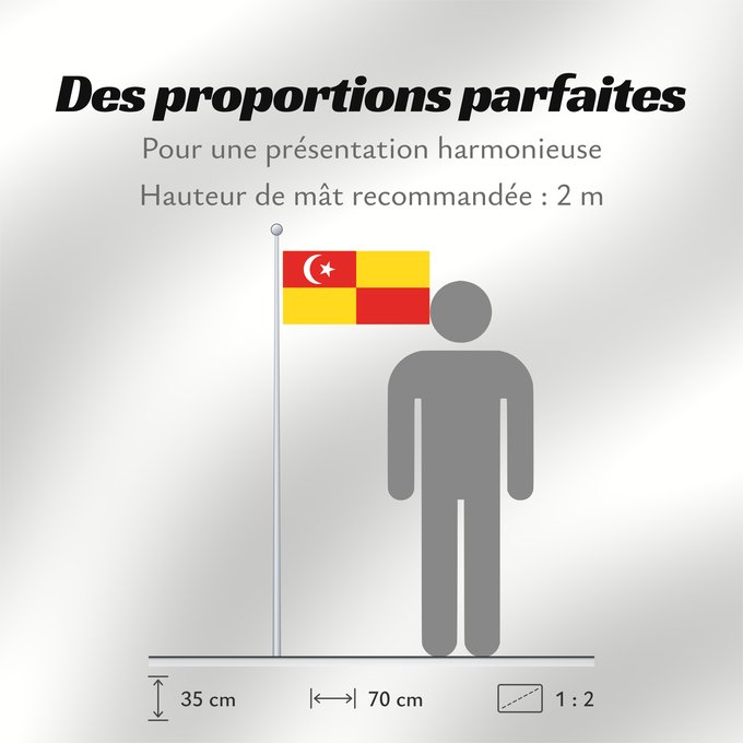 Proportions du drapeau : Selangor Selangor Malaysian state Selangor