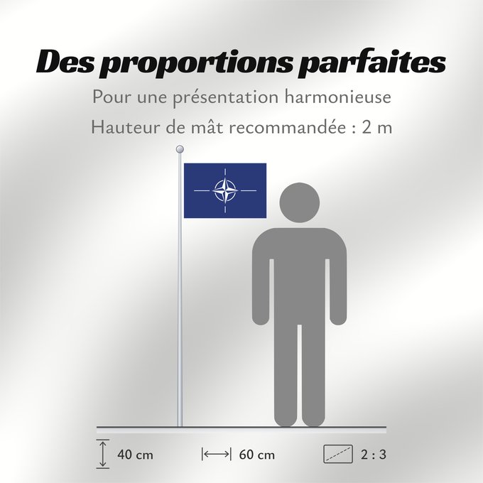 Proportions du drapeau : NATO North Atlantic Treaty Organization NATO L Organisation du traité de l Atlantique nord OTAN Organización del Tratado del Atlántico Norte OTAN Organizazione/ North Atlantic Starts Treaty Dell Organizzazione del Trattato dell Atlantico del Nord NATO