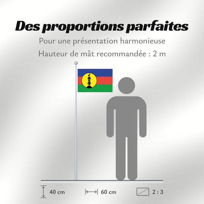 Proportions du drapeau : FLNKS	Kanak and Socialist National Liberation Front political party	Front de libération nationale kanak et socialiste	Colores Pantone http //www	Neukaledonien	Nuova Caledonia	Front d Alliberament Nacional Canac Socialista