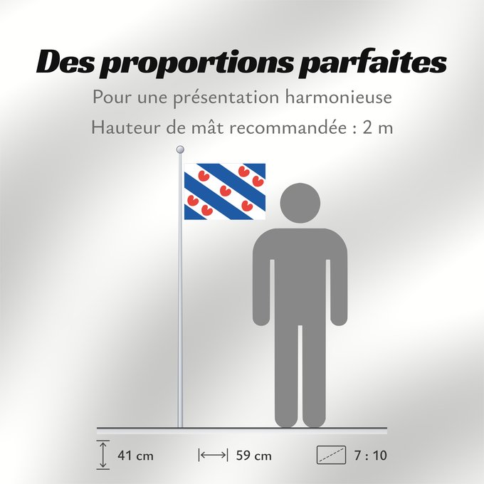 Proportions du drapeau : Frisian	Dutch province of Friesland	Frise	Frisia	Friesland	De Friese vlag en het wapen hebben een gemeenschappelijke herkomst