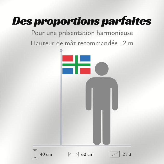 Proportions du drapeau : Groningen	Province of Groningen, Netherlands	Groningue	Groninga