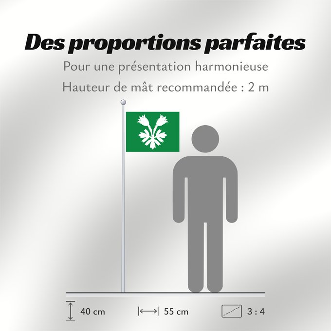 Proportions du drapeau : Oppland	Former county of Oppland, Norway	comté d’Oppland
