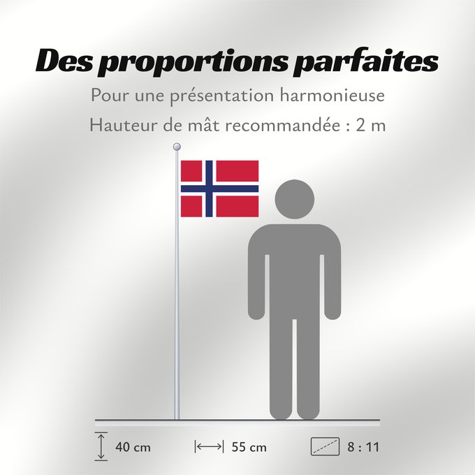 Proportions du drapeau : Jan Mayen
