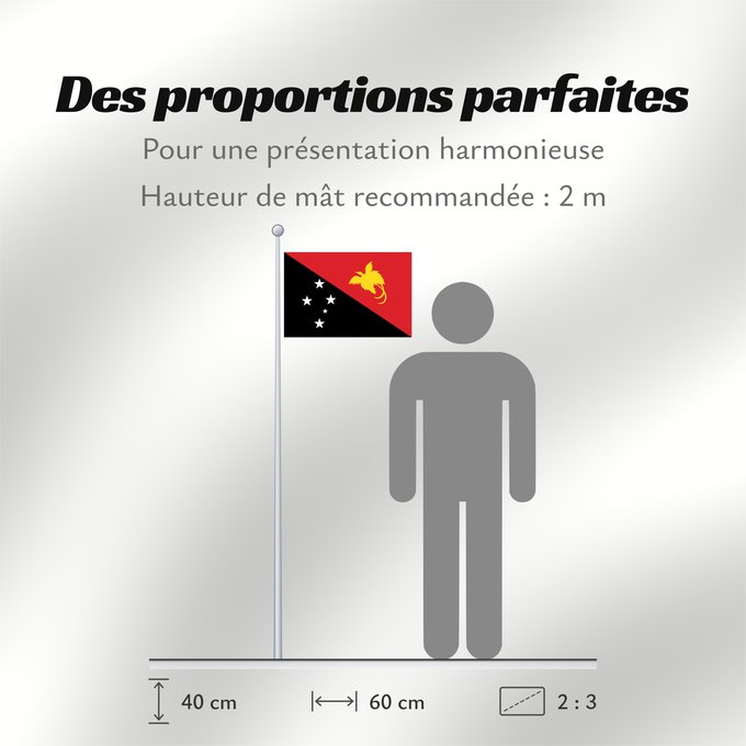 Proportions du drapeau : Papua New Guinea	Papua New GuineaColours Pantone 186 C for red and 116 C for yellow	Papouasie-Nouvelle-Guinée	Papúa Nueva Guinea	Papua-Neuguineas	Papua Nuova Guinea	Papoea-Nieuw-Guinea	Papua-Nova Guiné	Papui-Nowej Gwinei	علم بابوا غينيا الجديدة	পাপুয়া নি