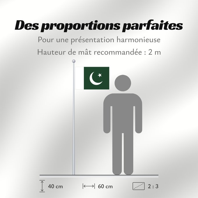 Proportions du drapeau : Pakistan Pakistan Pakistán Paquistão علم باكستان পাকিস্তানের জাতীয় পতাকা পাকিস্তানর ফিরালহান Pakistano पाकिस्तान का ध्वज ପାକିସ୍ତାନୀ ଝଣ୍ଡା ਪਾਕਿਸਤਾਨ ਦਾ ਕੌਮੀ ਝੰਡਾ د پاکستان بيرغ Флаг Пакистана Pakistana பாக்கித்தான் கொடி Прапор Пакистану پاکستان کا پرچم