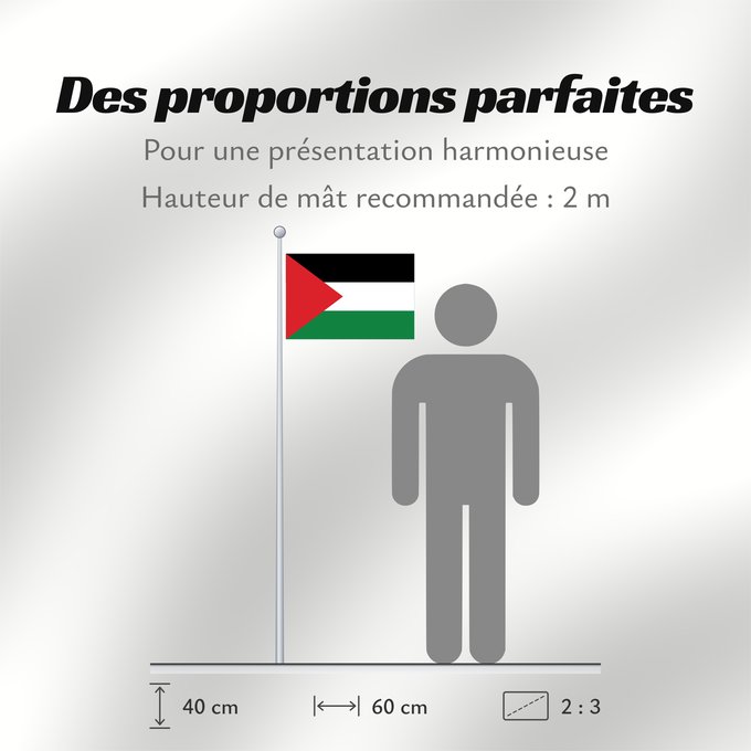 Proportions du drapeau : Palestine State of Palestine L’État de Palestine Estado de Palestina Palästina Palestina علم فلسطين ফিলিস্তিনের পতাকা Palestino Dari Negara Palestina Флаг Государства Палестина