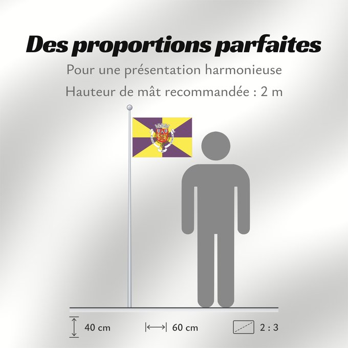 Proportions du drapeau : Coimbra