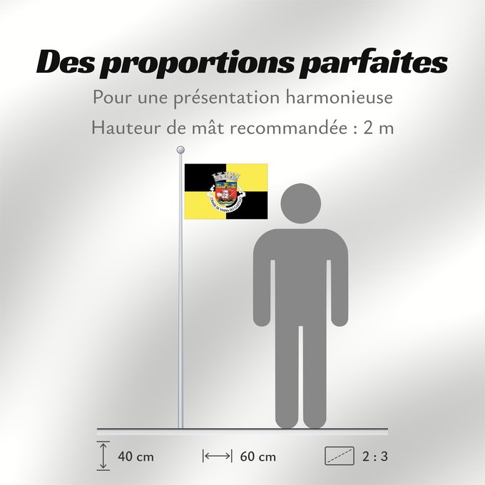 Proportions du drapeau : Viana do Castelo