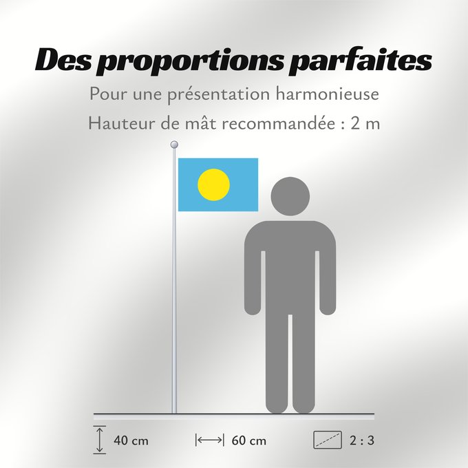 Proportions du drapeau : Palau	Palau, made by User Gabbe	 Palaos	Palaos	パラオの国旗	Palaua	​帕勞國旗