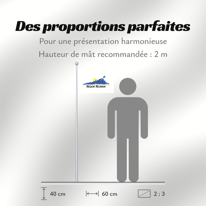 Proportions du drapeau : Réunion