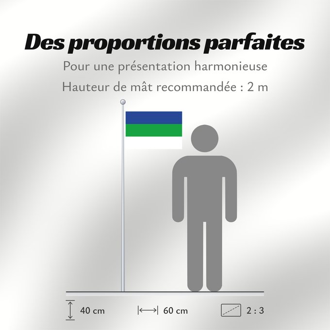 Proportions du drapeau : Komi	State Flag of the Komi Republic	République des Komis	República de Komi	Republik Komi	Repubblica di Komi	Коми Республикаса дöрапас	Государственный флаг Республики Коми