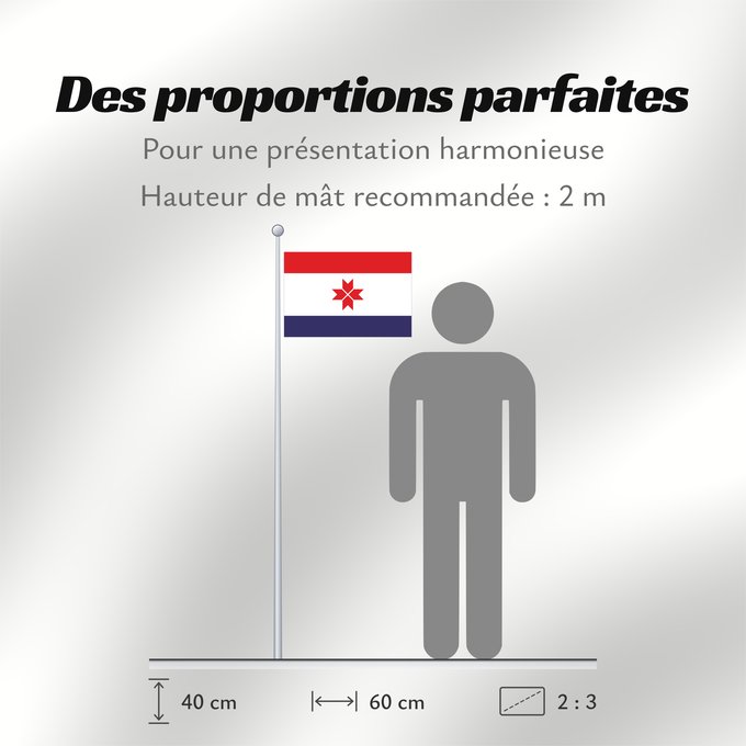 Proportions du drapeau : Mordovia	Republic of Mordovia	Mordovie	 República de Mordovia 	Mordowia	Repubblica di Mordovia
