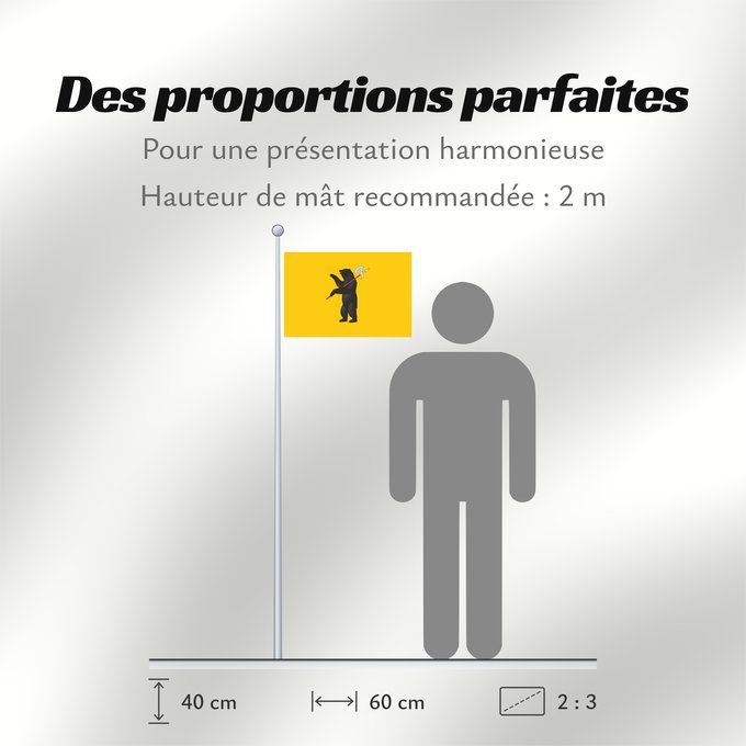 Proportions du drapeau : Yaroslavl Oblast	Oblast de Iaroslavl	Óblast de Yaroslavl	Oblast Jaroslawl	Флаг Ярославской области