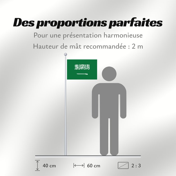 Proportions du drapeau : Civil Ensign of Saudi Arabia  obverse	Saudi Arabia	Arabie saoudite	Arabia Saudita	Saudi-Arabien
