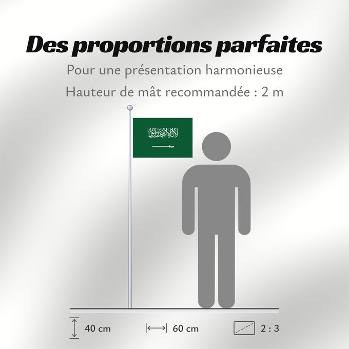 Proportions du drapeau : Civil Ensign of Saudi Arabia  obverse	Saudi Arabia	Arabie saoudite	Arabia Saudita	Saudi-Arabien	الشعار المدني في الأعلى على الركن الأيمن للعلم، ومعدل التناسب ٢ ٣