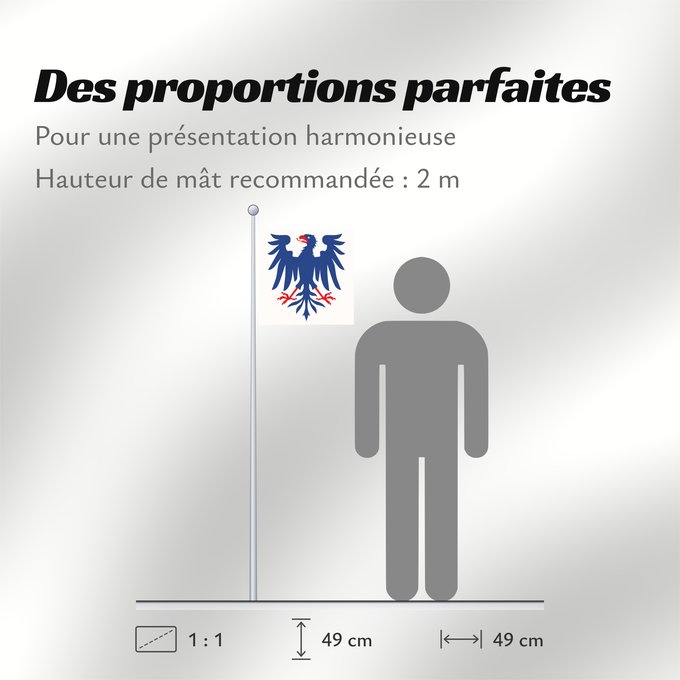 Proportions du drapeau : Värmlands län