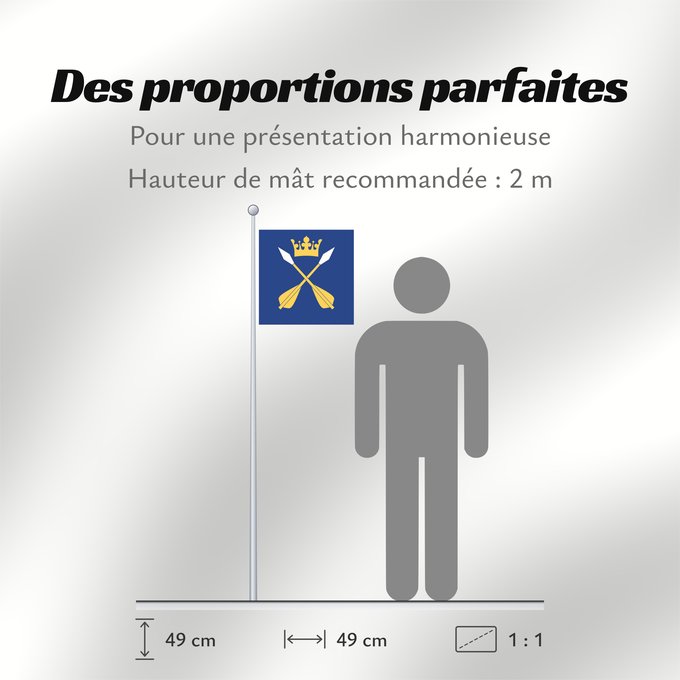 Proportions du drapeau : Dalarnas län