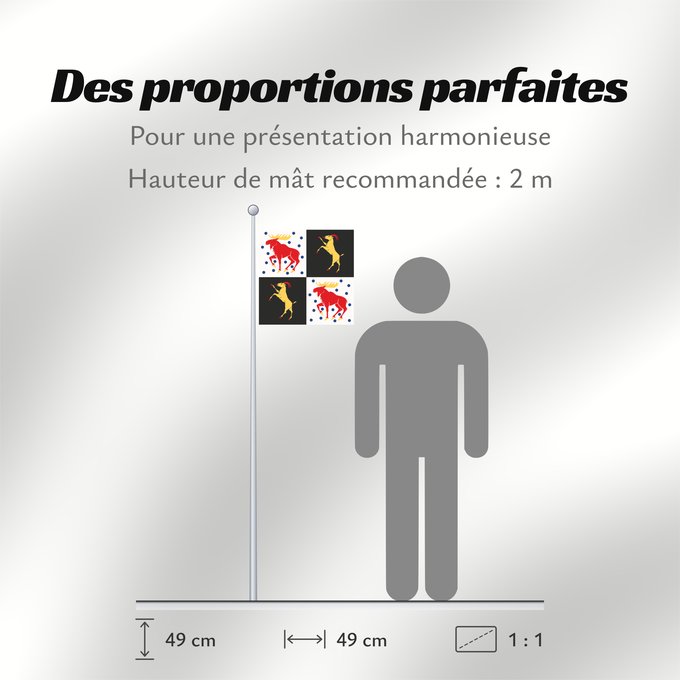 Proportions du drapeau : Gävleborgs län vapenflagga	Gävleborg County in Sweden	comté de Gävleborg	Gävleborg	Gävleborgs län	Gävleborg County	Gävleborgs läns vapenflagga
