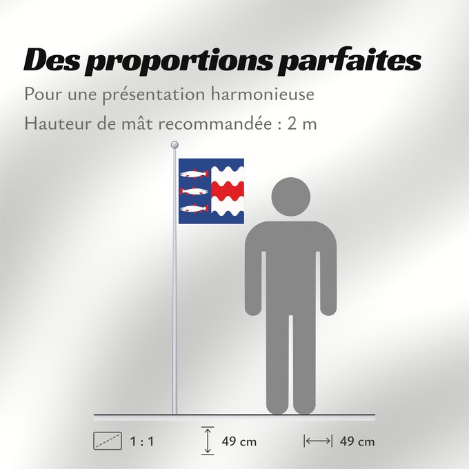 Proportions du drapeau : Västernorrlands län