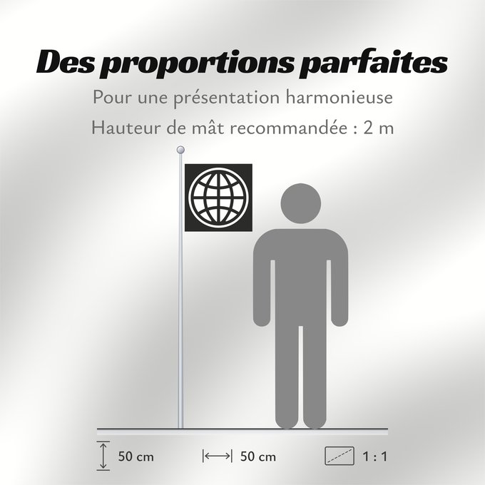 Proportions du drapeau : The World Bank Group
