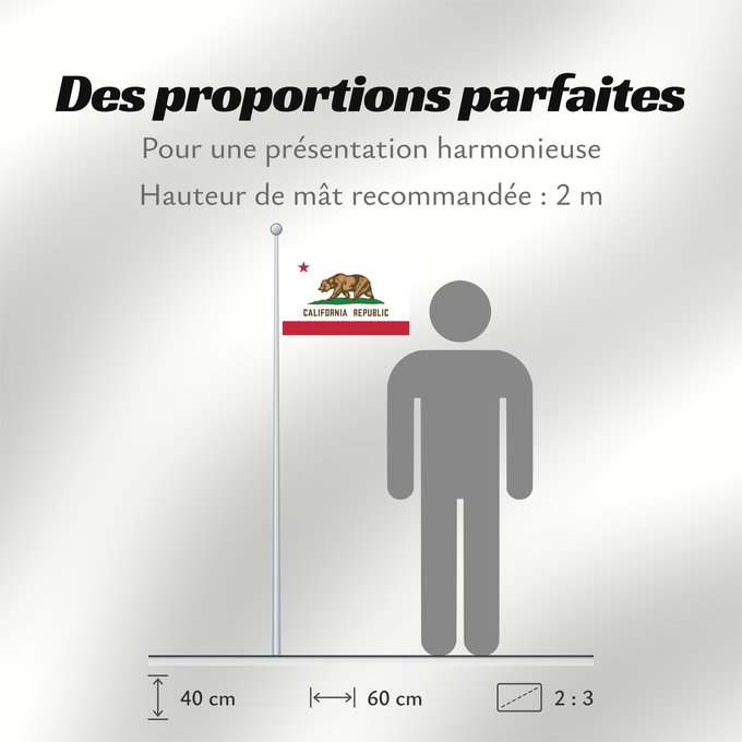 Proportions du drapeau : California Californie Kalifornien Californië ᎠᏕᎳᏧᏢᎢ ᎦᏓᏘ Ka hae Kaleponi דגל מדינת קליפורניה Californiae Ahééháshį́į́h Hahoodzo bidah naatʼaʼí Флаг Калифорнии Američke savezne države Kalifornije ⴰⵙⴻⵏⵢⴰⵍ ⵏ ⴽⴰⵍⵉⴼⵓⵕⵏⵢⴰ