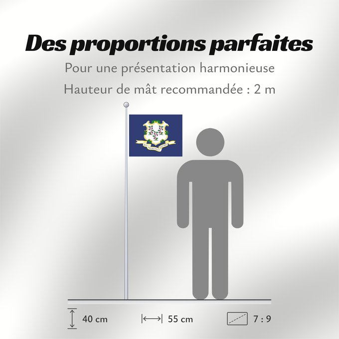 Proportions du drapeau : Connecticut	ᎧᏁᏓᎦᏗ ᎦᏓᏘ	Ka hae Konekikuka	Connecticutae	Kanédiki  hahoodzo bidah naatʼaʼí	Флаг Коннектикута	Američke savezne države Konektikat