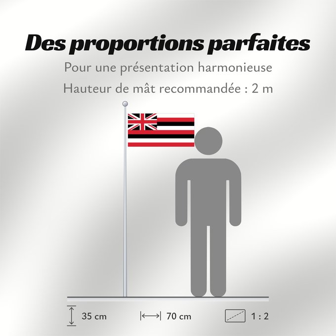 Proportions du drapeau : Hawaii	D Hawaï	Hawái	Banniel Hawaii	ᎭᏩᏱ ᎦᏓᏘ	Ka hae Hawaiʻi	夏哇夷 州의 旗 / 하와이 주의 기	Havaii	Hawáai Hahoodzo bidah naatʼaʼí	Флаг Гавайев	Američke savezne države Havaji