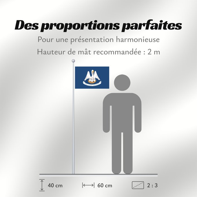 Proportions du drapeau : Louisiana For more information Louisiane Luisiana ᎷᏫᏏᎡᎾ ᎦᏓᏘ Ka hae Luikiana Ludovicianae Liwíízíʼeenah Hahoodzo bidah naatʼaʼí Флаг Луизианы Američke savezne države Lousiane