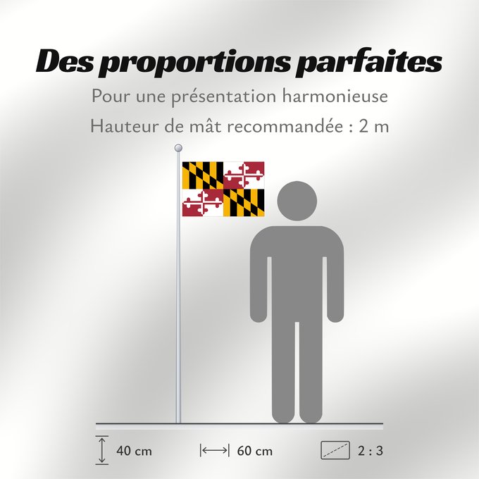 Proportions du drapeau : Maryland	Stanowa Marylandu	ᎺᎵᏂ ᎦᏓᏘ	Ka hae Melelana	Terræ Mariæ	Méelin Hahoodzo bidah naatʼaʼí	Флаг Мэриленда	Američke savezne države Maryland
