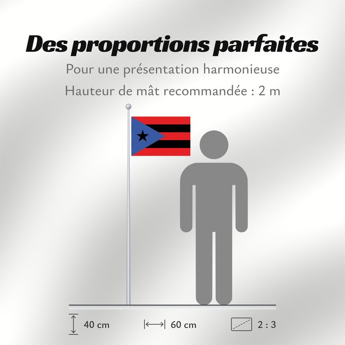 Proportions du drapeau : Puerto Rico