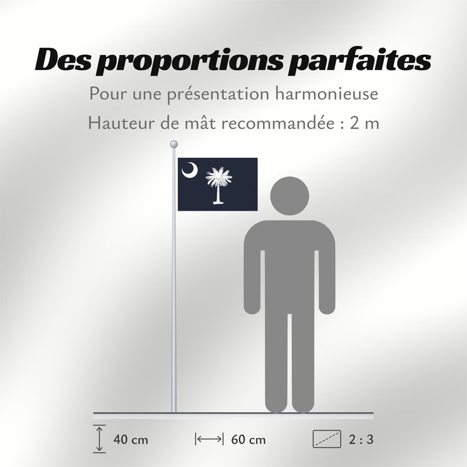 Proportions du drapeau : South Carolina Caroline du Sud Carolina del Sur Carolina del Sud علم كارولاينا الجنوبية ᏐᎦᎴᏂ ᎦᏓᏘ Ka hae Kalolaina Hema Carolinae Meridionalis Shádiʼááhjí Kééláanah Hahoodzo bidah naatʼaʼí Флаг Южной Каролины Američke savezne države Južne Karoline