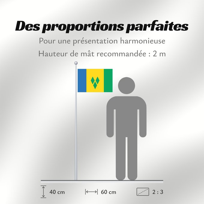 Proportions du drapeau : Saint Vincent and the Grenadines	Saint-Vincent-et-les Grenadines	San Vicente y las Granadinas	St. Vincent und die Grenadinen	Saint Vincent e Grenadine	Флаг Сент-Винсента и Гренадин	Saint Vincenta in Grenadin