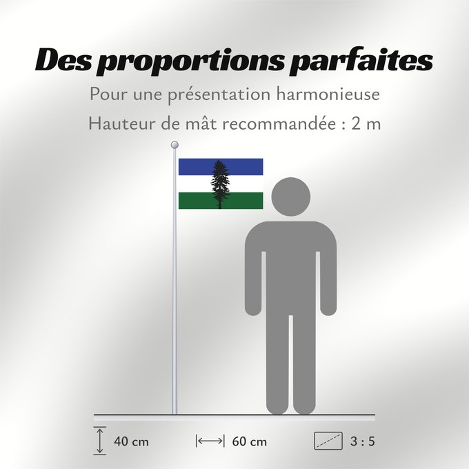Proportions du drapeau : Cascadia