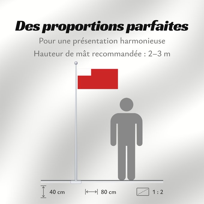 Proportions du drapeau : Abu Dhabi D Abou Dabi علم أبو ظبي Abu Dabi Прапор Абу-Дабі