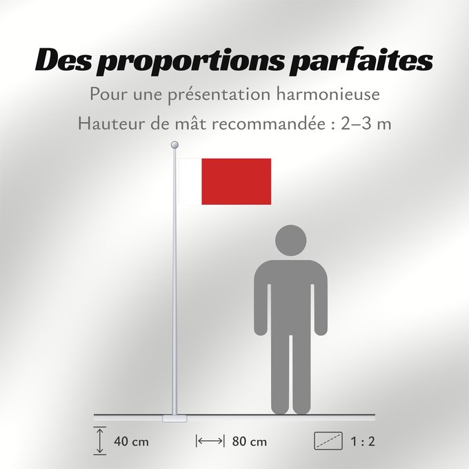 Proportions du drapeau : Dubai	Dubaï