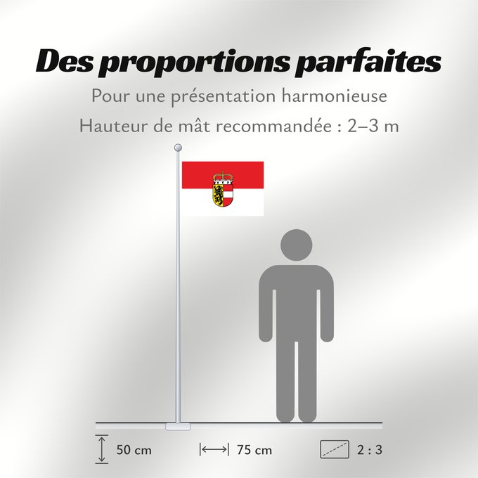 Proportions du drapeau : Salzburg Salzburg (state) Salzbourg Salzburgo Salisburgo