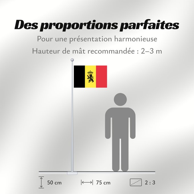 Proportions du drapeau : Belgium  civil	Belgium	Belgique	Bélgica	Belgien	Belgio