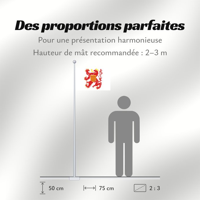 Proportions du drapeau : Limburg (nl)