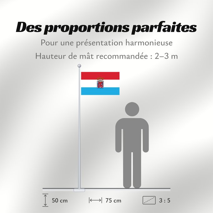 Proportions du drapeau : Province of Luxembourg Belgium This W3C-unspecified vector image was created with Adobe Illustrator Un drapeau non-officiel de la province de Luxembourg Belgique Luxemburgo (BE) Luxemburg (Belgien) Lussemburgo (BE)