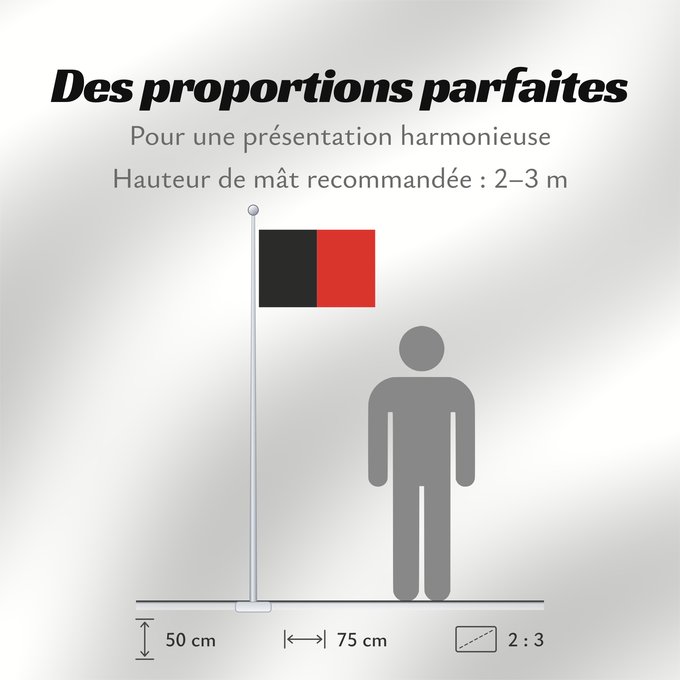Proportions du drapeau : Namur Province	Namur	Shows the flag of the province of Namur in Belgium