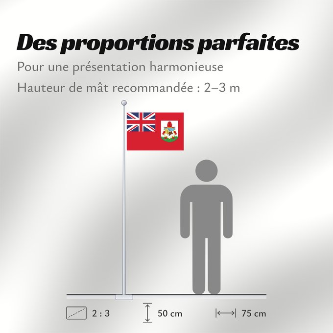 Proportions du drapeau : Bermuda	Bermudes	Bermudas	Bermudów	Bermudas fana	Brattagh ny Bermioodee	Флаг Бермуд