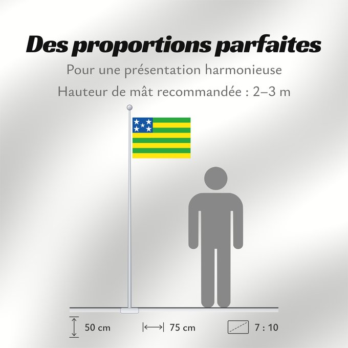 Proportions du drapeau : Goiás