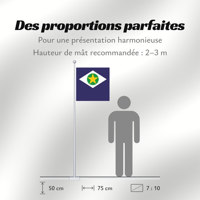 Proportions du drapeau : Mato Grosso	State of Mato Grosso, Brazil	Mato Grueso	Mato Grosso, Brasil