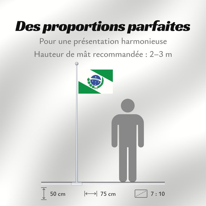 Proportions du drapeau : Paraná