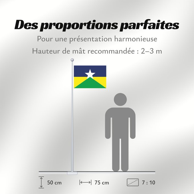 Proportions du drapeau : Rondônia