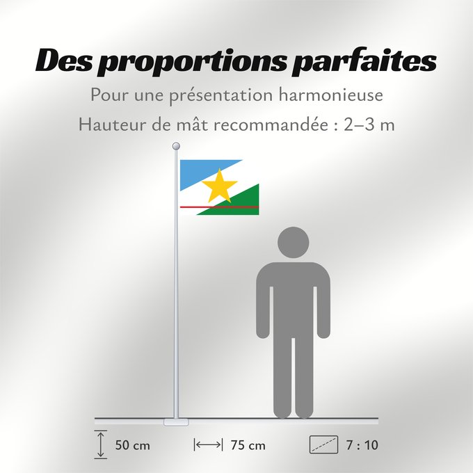 Proportions du drapeau : Roraima