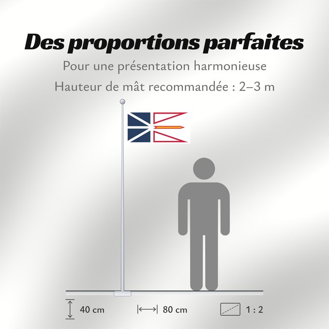 Proportions du drapeau : Newfoundland and Labrador	Terre-Neuve-et-Labrador	Terranova y Labrador	Neufundland und Labrador	Terranova	Banniel Douar-Nevez ha Labrador